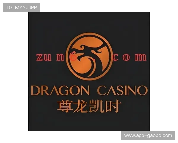 尊龙凯时百家乐官网最新优惠活动不断，丰富的游戏玩法满足不同玩家的娱乐需求